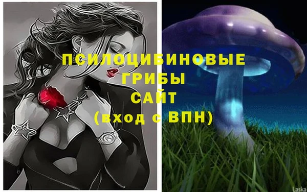 синтетический гашиш Белокуриха